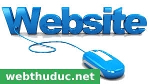 Tính năng cơ bản của một website