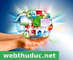 Các nguyên tắc thiết kế web chuyên nghiệp