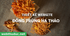 Thiết kế website Bán Đông trùng hạ thảo