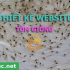 Thiết kế web tôm giống chuẩn SEO