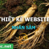 Thiết kế website nhân sâm chuẩn SEO