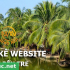 Thiết kế website tại Bến Tre